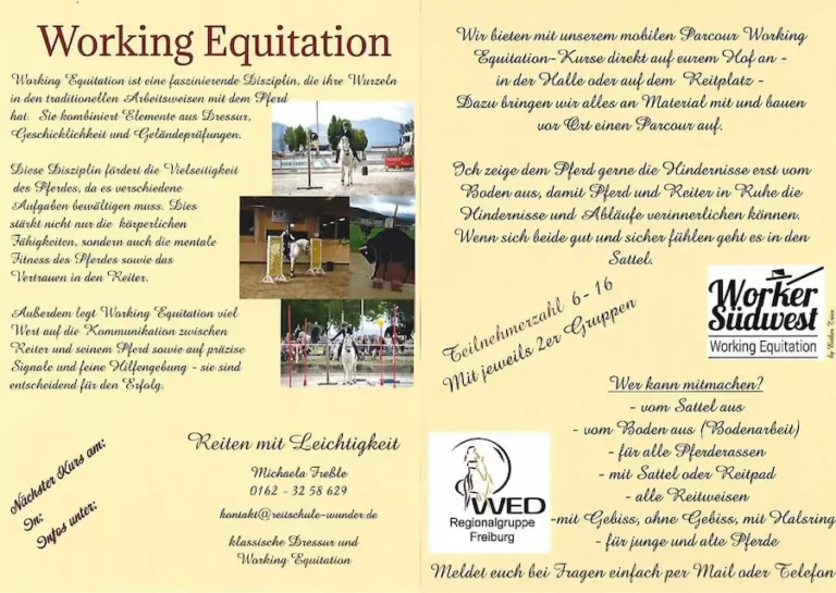 Broschüre zum Working Equitation am Sonnenhof mit Text, Reitbildern und Kontaktinformationen. Entdecken Sie die Expertise von Michaela Freßle und verbessern Sie Ihre Reitkünste.