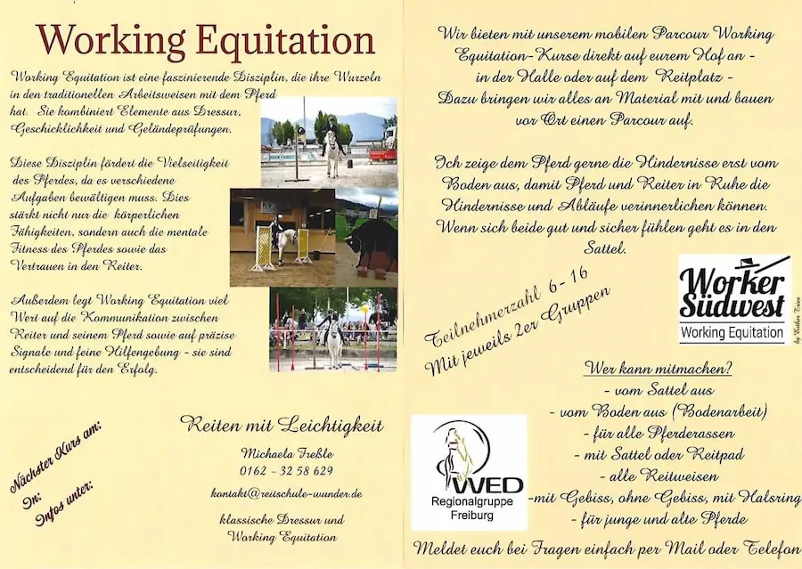 Working Equitation mit Michaela Freßle auf dem Sonnenhof