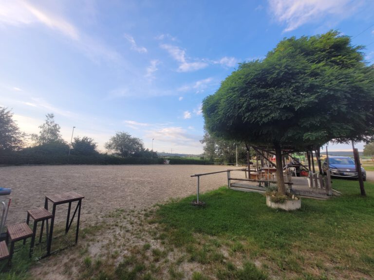 Der Außensitzplatz mit Schatten spendendem Baum, angrenzend an eine offene Sandfläche unter blauem Himmel, bietet die perfekte Startseite zum Entspannen.