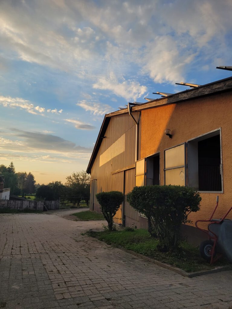 Ein großes, gelbes Gebäude unter einem bewölkten Himmel mit einem gepflasterten Gehweg und gestutzten Büschen daneben im Abendlicht, das an eine malerische Startseite-Szene erinnert.