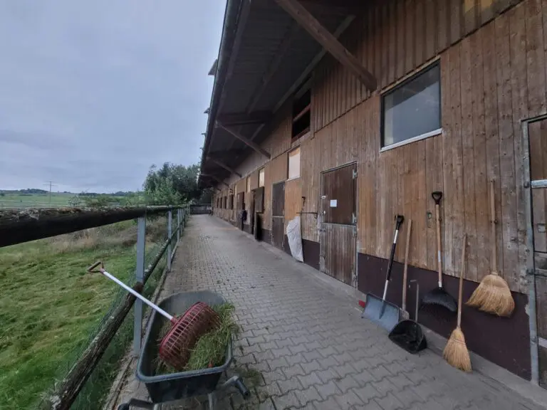 Stall mit Pferdeboxen; Schubkarre mit Heu, Rechen, Schaufeln und Besen vor Holzwand; im Hintergrund Wiese.