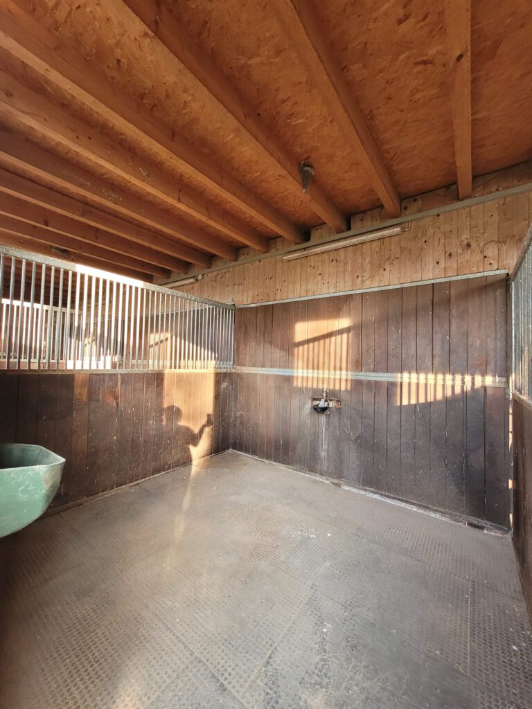 Leerer Pferdestall aus Holz mit Metallgeländer und Gummiboden, Sonnenlicht wirft Schatten durch das Fenster.