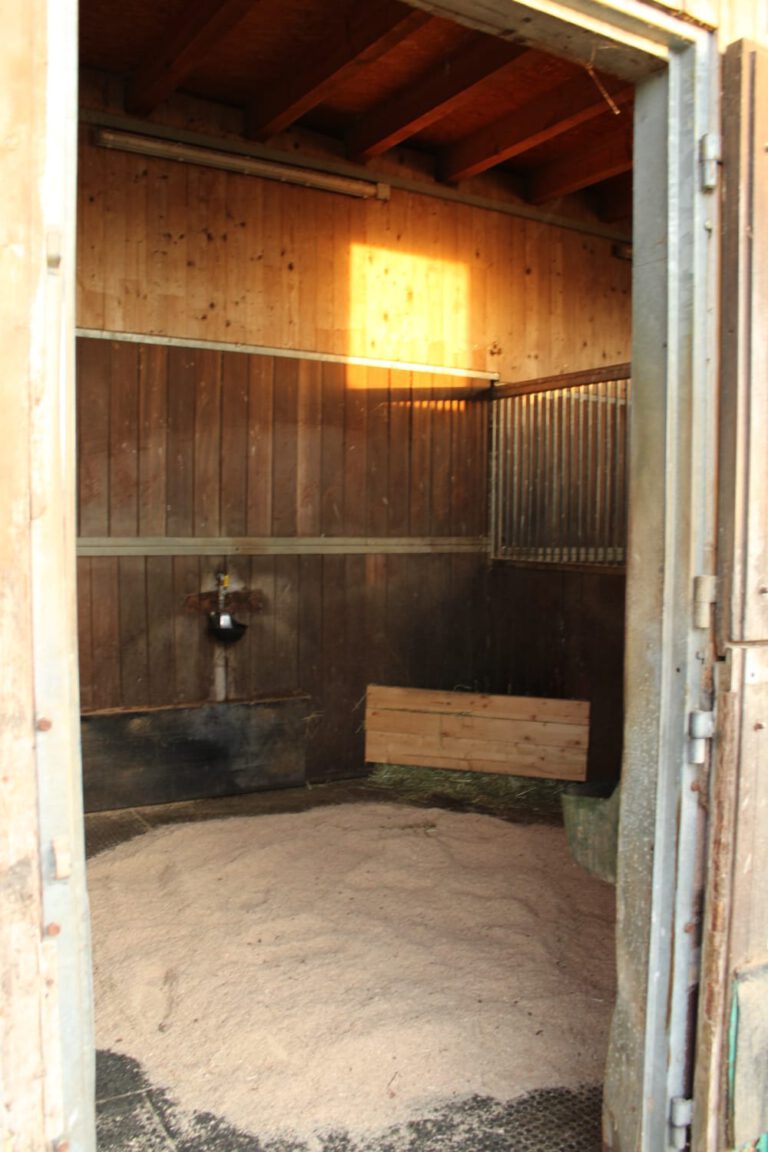 Eine Reitanlage mit offener Tür gibt den Blick auf eine leere Box frei, deren Boden mit Holzspänen bedeckt ist und in die Sonnenlicht fällt.