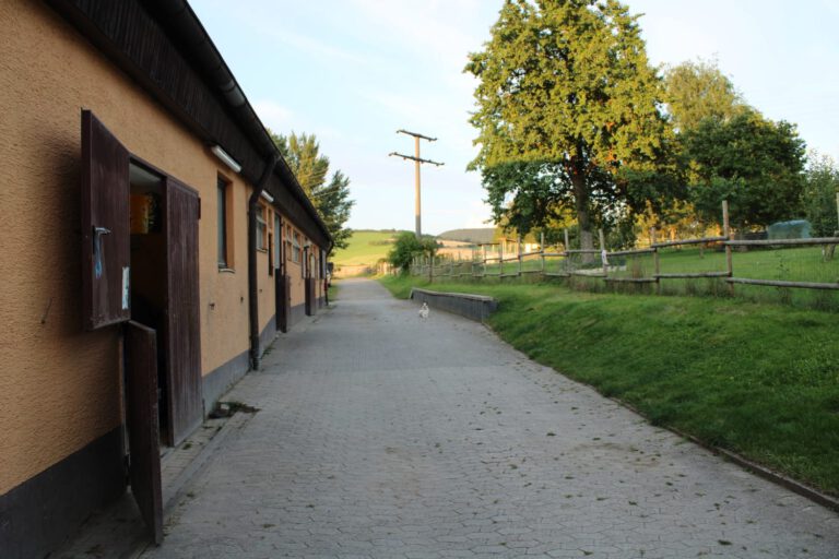Weg neben einem Gebäude mit offenen Holztüren, eine Rasenfläche, Bäume und Hügel in der Ferne unter einem blauen Himmel – genau wie die heitere Szene, die Sie vielleicht auf unserer Homepage finden.