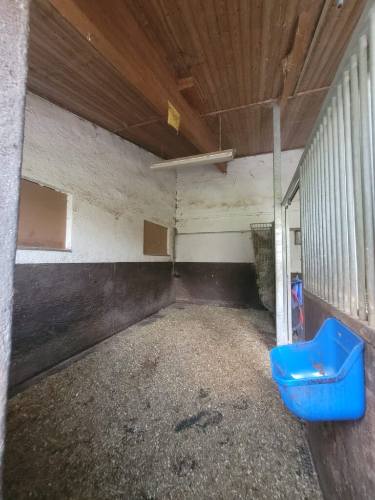 Eine leere Pferdebox im Innenbereich mit einem an der Wand befestigten blauen Futtertrog und Einstreu auf dem Boden.