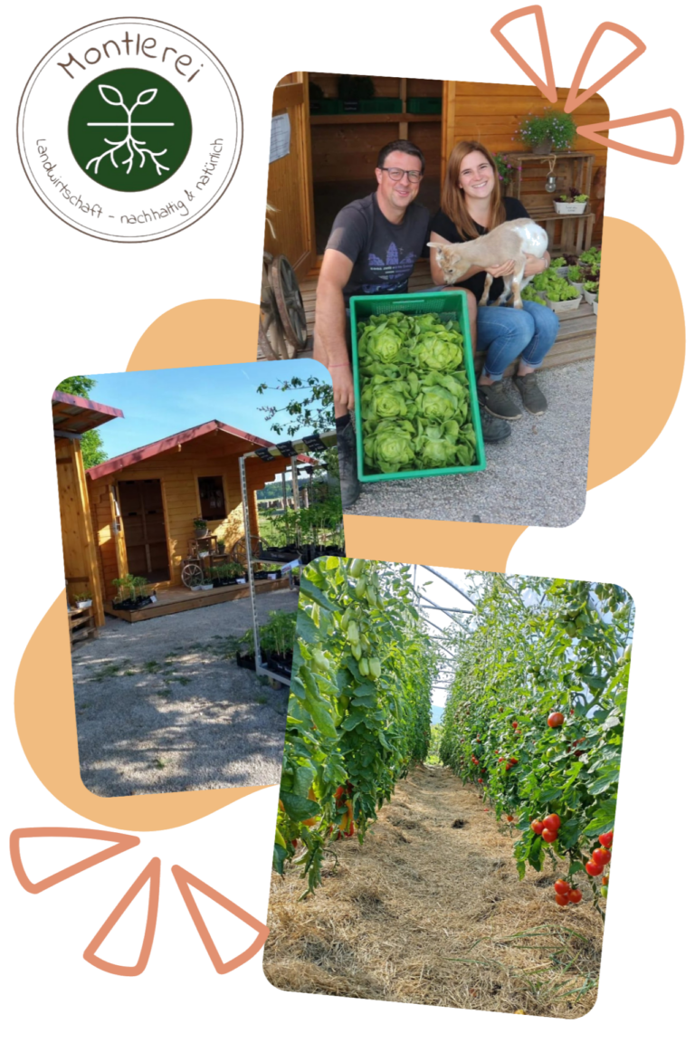 Collage aus Mann, Frau und Hund mit Salat, einem Holzgebäude und einem Gewächshaus mit Tomatenpflanzen auf der Homepage des Bauernhofs Montierei.