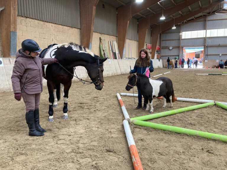 Zwei Personen in einer Reithalle mit einem Pferd und einem Pony, die neben bunten Stangen auf dem Boden stehen.