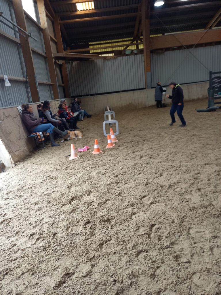 Menschen sitzen und stehen auf Bänken in einer Sandhalle, im Vordergrund sind Verkehrsleitkegel und Hindernisse zu sehen.