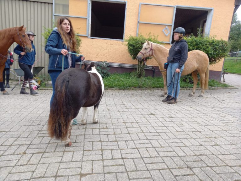 Menschen mit zwei Pferden auf einer gepflasterten Fläche vor einem Gebäude.