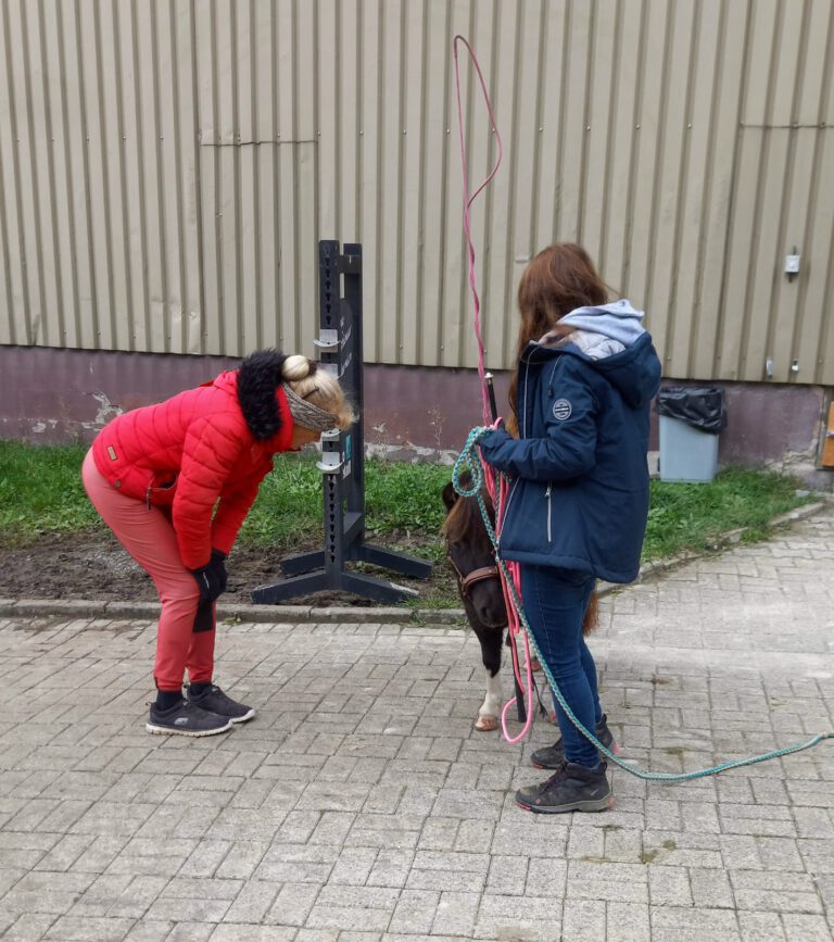 Zwei Personen kümmern sich in der Nähe eines Gebäudes um ein kleines, dunkelbraunes Pferd. Einer hockt, während der andere ein Seil hält.