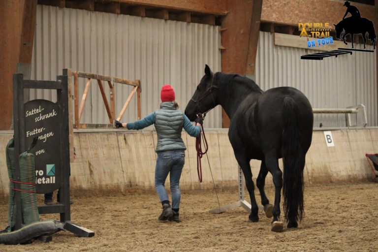 Person mit rotem Hut führt ein schwarzes Pferd durch eine Indoor-Trainingsarena mit unterschiedlicher Ausrüstung.
